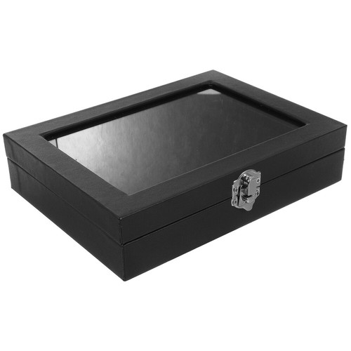 Pin display case brooch - pin,